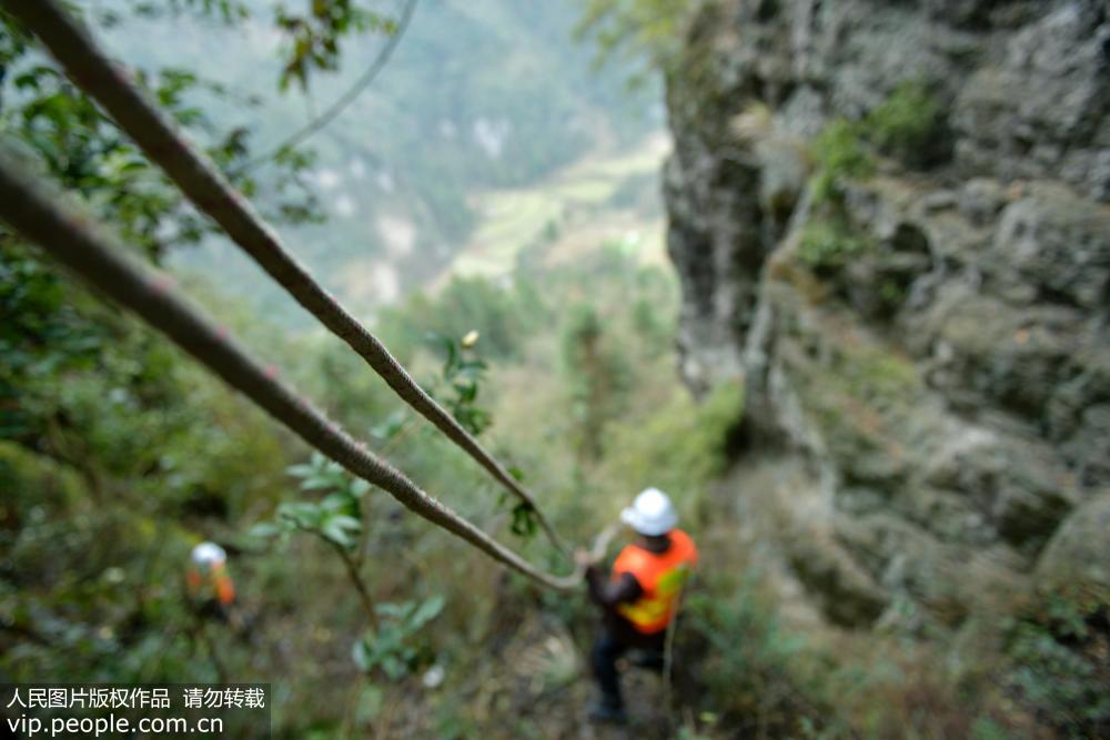 2019年2月22日，工人在湖北省宣恩县两溪河村搭建通往山顶的绳索通道。