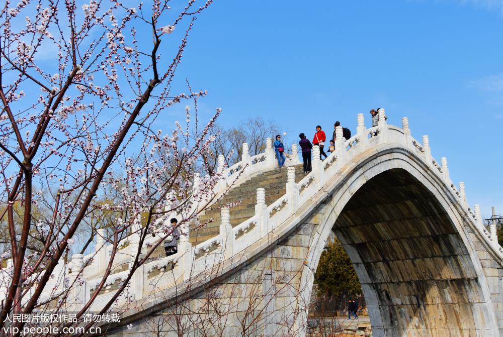 3月15日，北京頤和園春光旖旎。