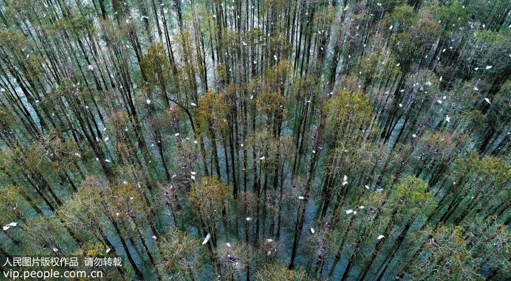 ����®��������������֦ͷ��3��