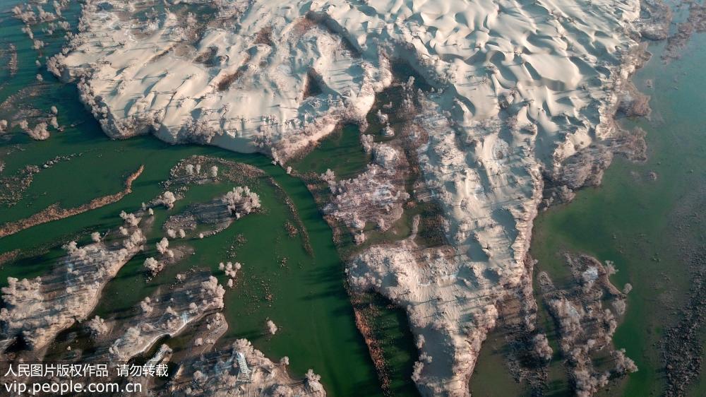航拍新疆羅布淖爾國家濕地公園風景如畫【5】