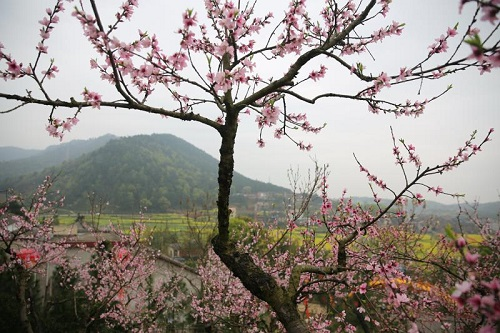 ���ϳ����ּ��һ�����2��