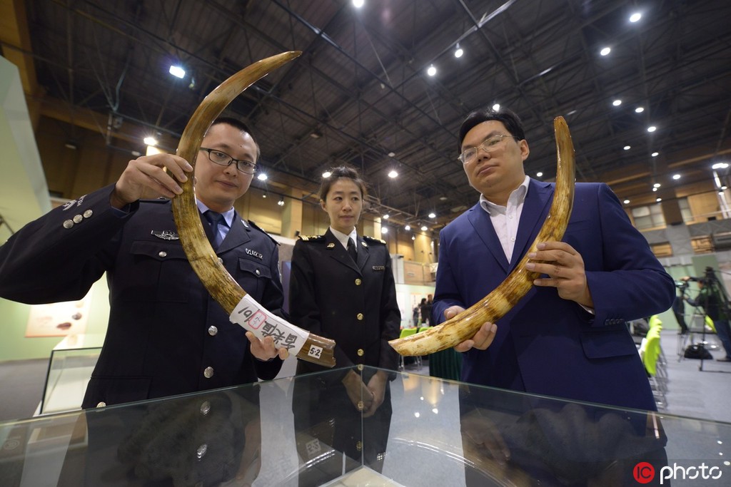 京海关向北京自然博物馆移交化石。 东方ic供图