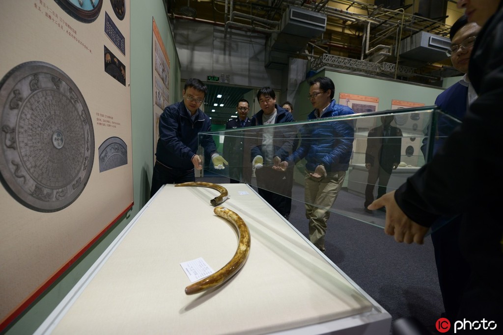 京海关向北京自然博物馆移交化石。 东方ic供图