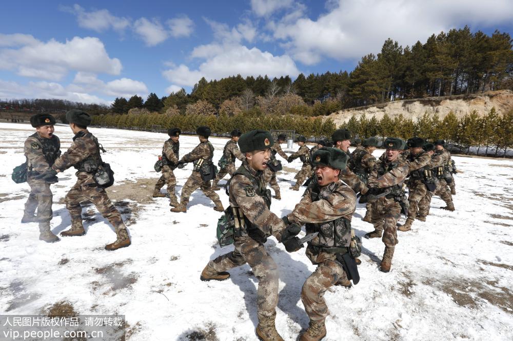 3月30日，北部战区陆军某边防旅官兵在寒风中进行应用捕俘课目训练。