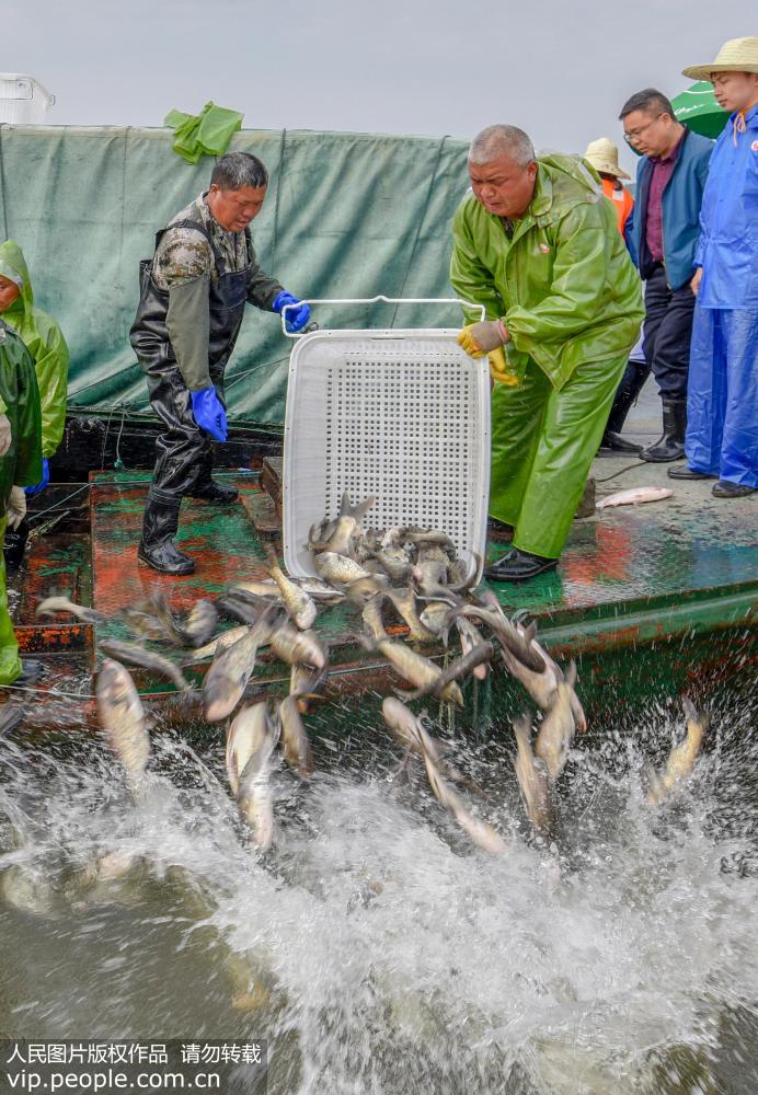 ��Ů����ֳ���� ����ҵ��̬ƽ�⡾4��