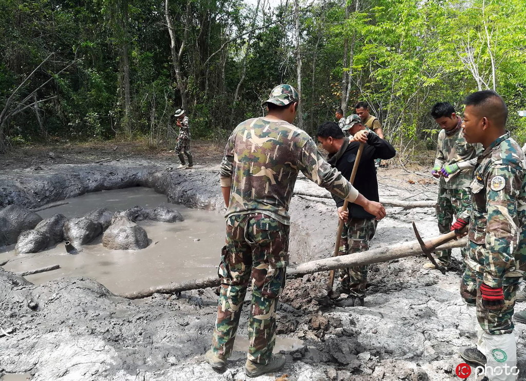 泰國6頭小象一同被困泥潭 獲工作人員解救【3】