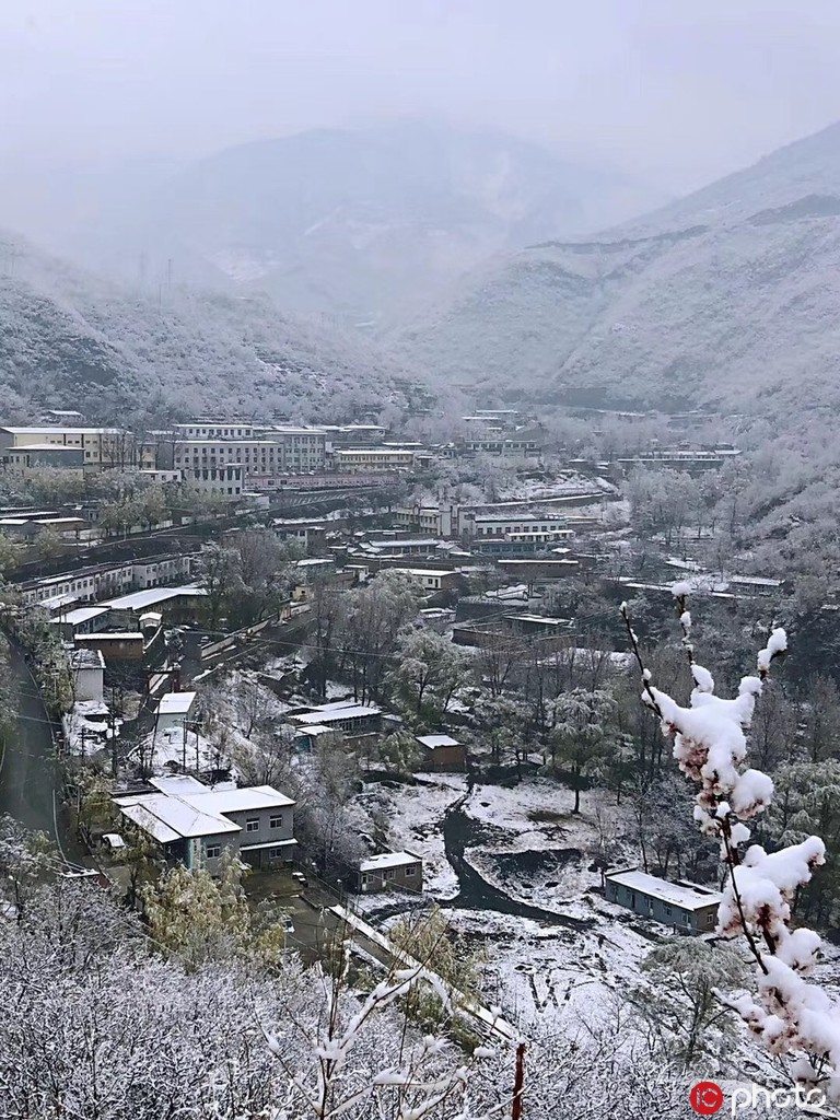 北京城內外雨雪交加景色美 山區一片銀裝素裹【7】