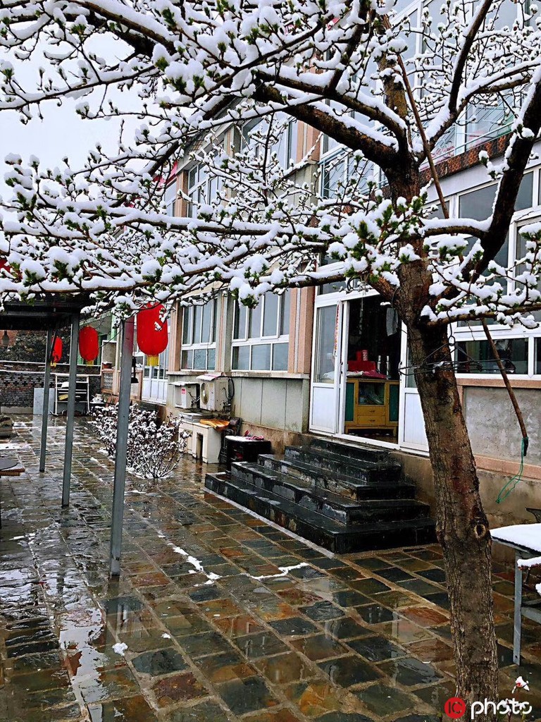北京城內外雨雪交加景色美 山區一片銀裝素裹【6】