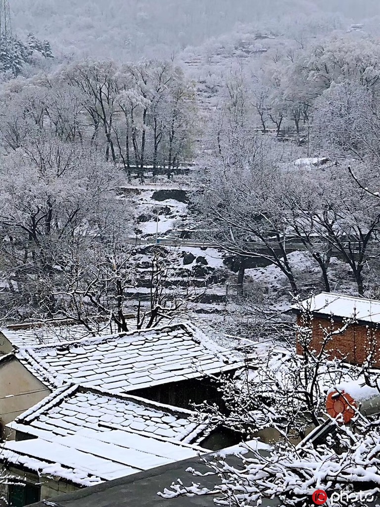 北京城內外雨雪交加景色美 山區一片銀裝素裹【8】