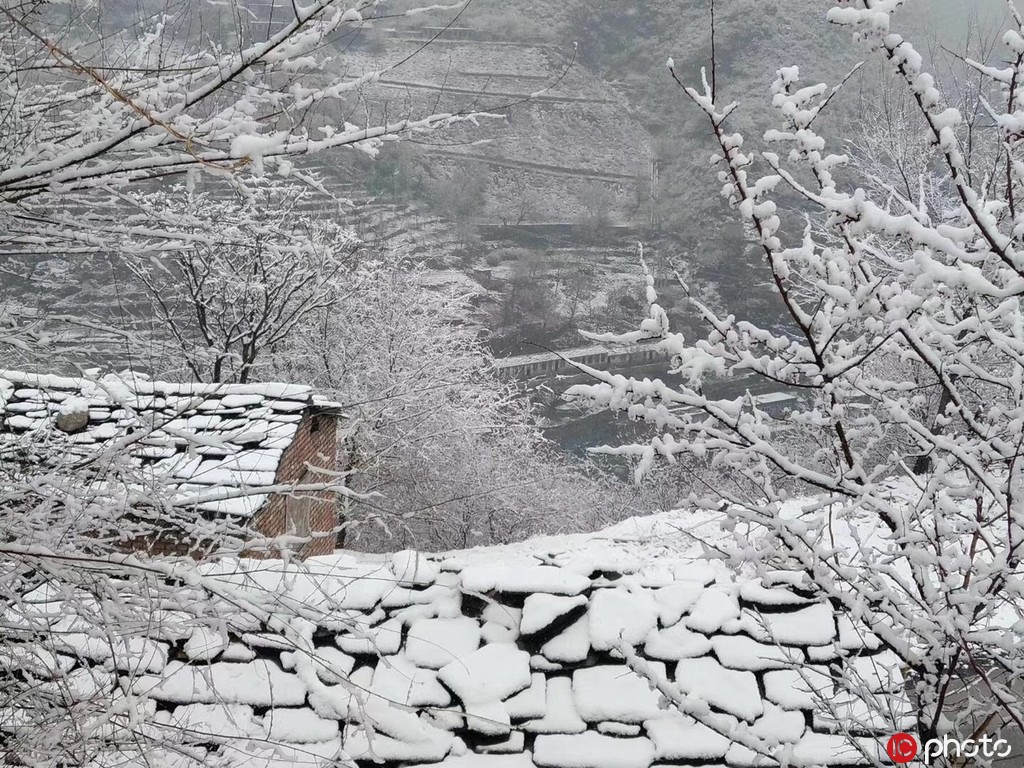 北京城內外雨雪交加景色美 山區一片銀裝素裹【9】