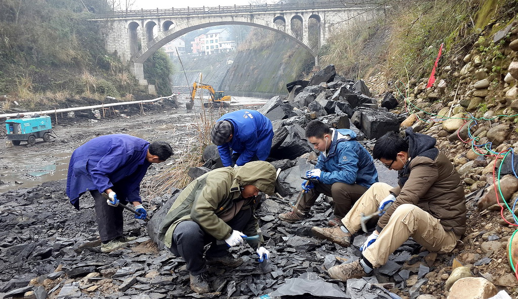 2014年，西北大學地質學系的師生在湖北省宜昌市丹水河進行“清江生物群”化石挖掘。