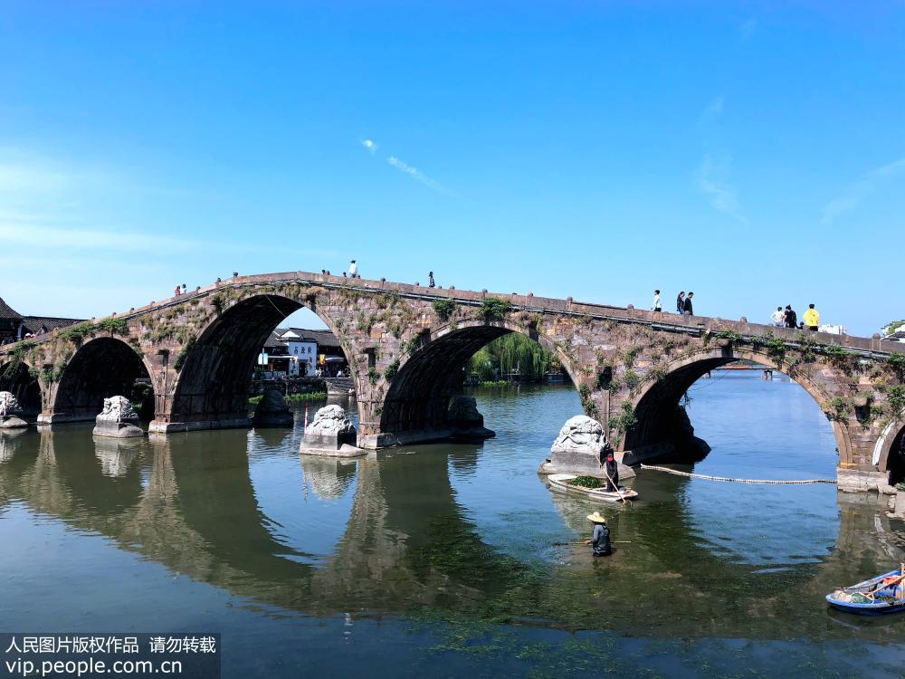 杭州：清理河中水草 保護古運河水質【3】