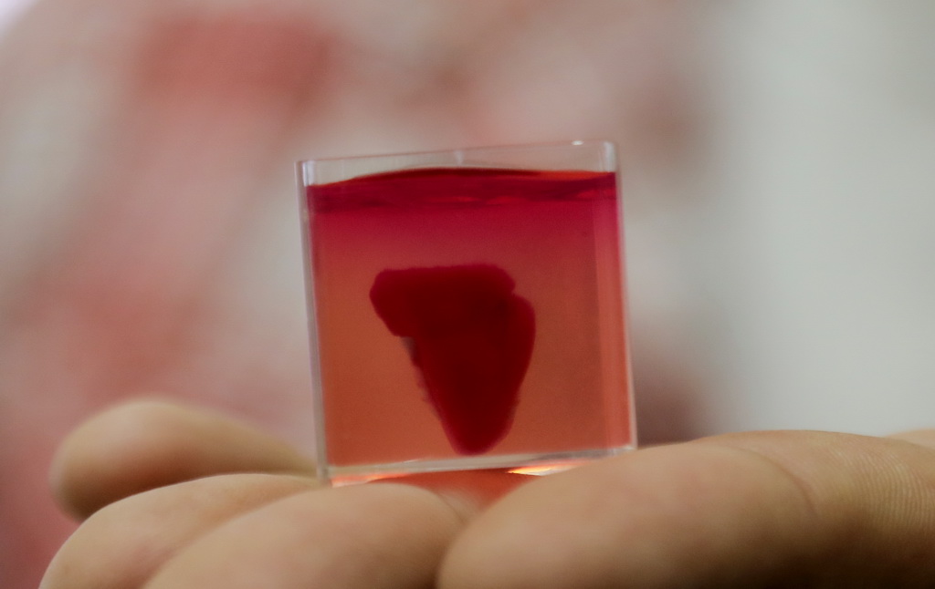 4月15日 在以色列特拉維夫大學拍攝的3D心臟。