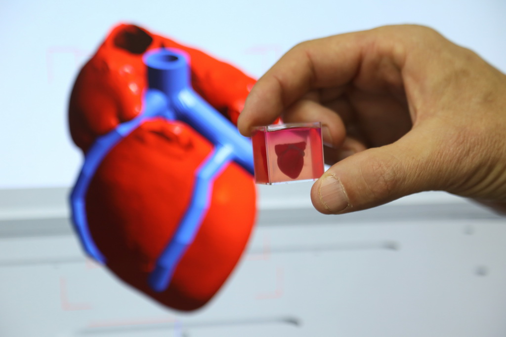 4月15日，在以色列特拉維夫大學，一名研究人員展示3D心臟。