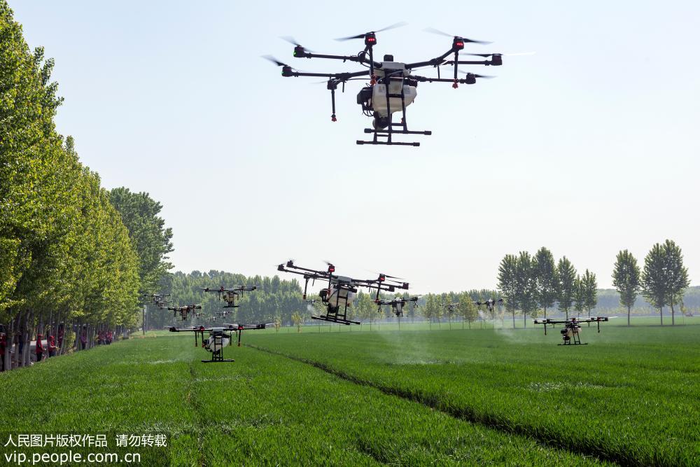 河南濟源採用植保無人機開展小麥病虫害防治