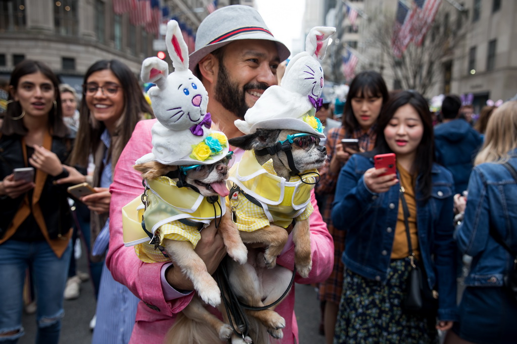 4月21日，在美國紐約，一名男子帶著精心裝扮的小狗參加復活節花帽游行。新華社發（郭克攝）