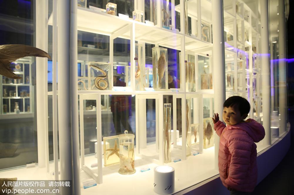 ɽ�����գ�������չ���ѧ��ѧ��6��