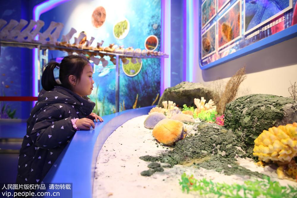 ɽ�����գ�������չ���ѧ��ѧ��5��