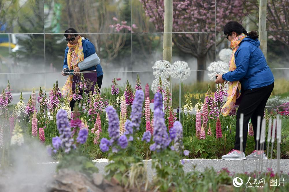 4月29日，游客在世園會內拍攝花藝。