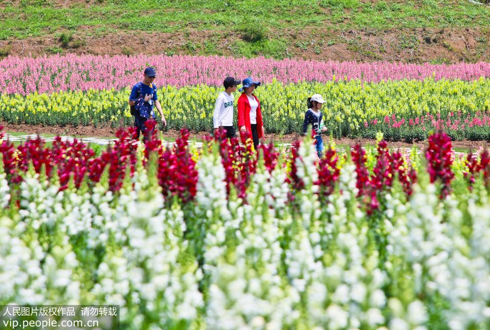 ����ͭ�꣺������������һ�����ڡ�5��