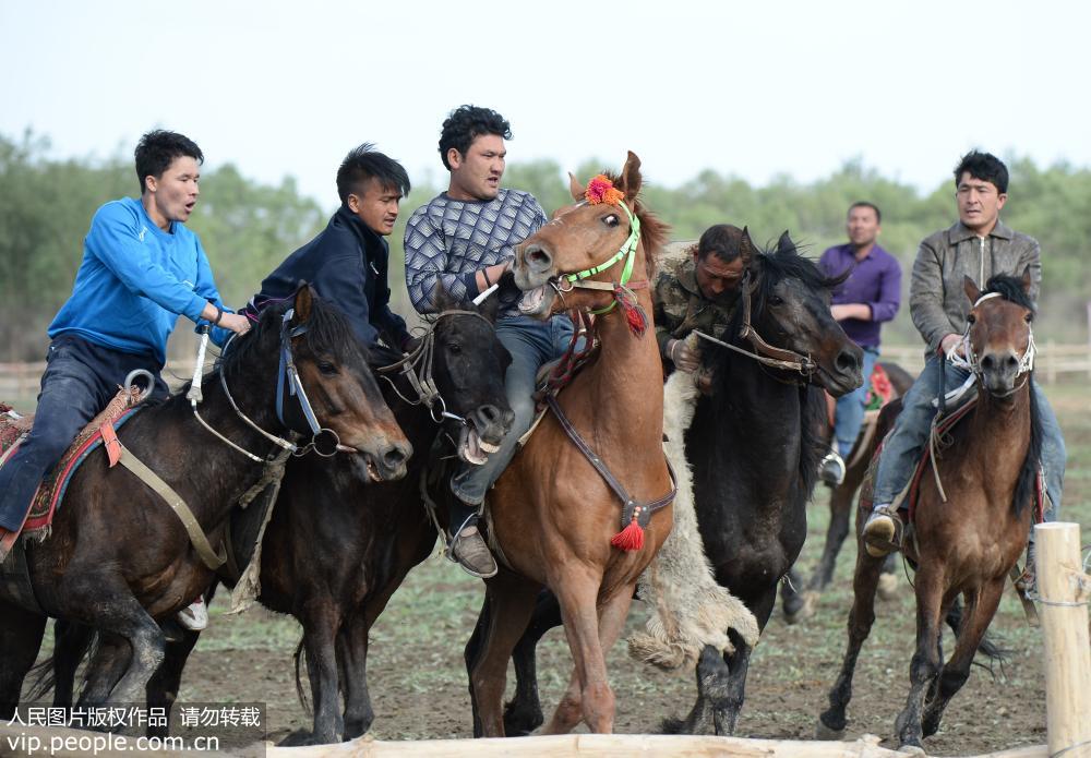 新疆阿瓦提：農牧民叼羊比賽慶“五一”
