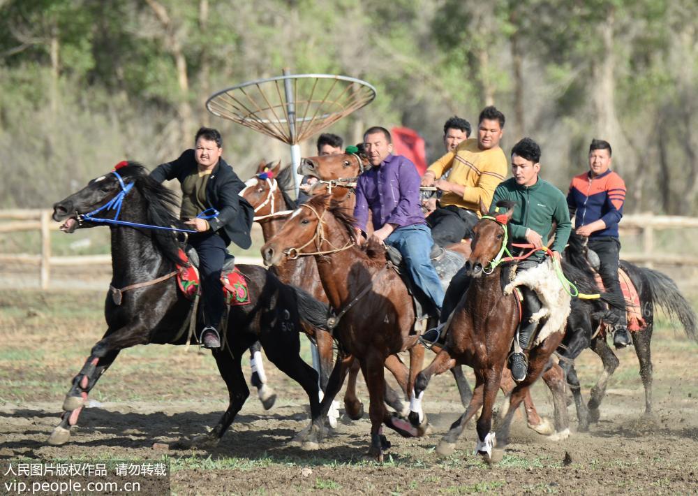 新疆阿瓦提：農牧民叼羊比賽慶“五一”【6】