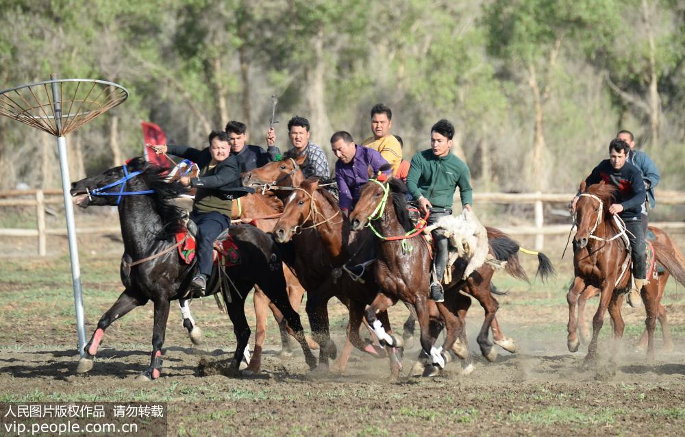 新疆阿瓦提：農牧民叼羊比賽慶“五一”【5】