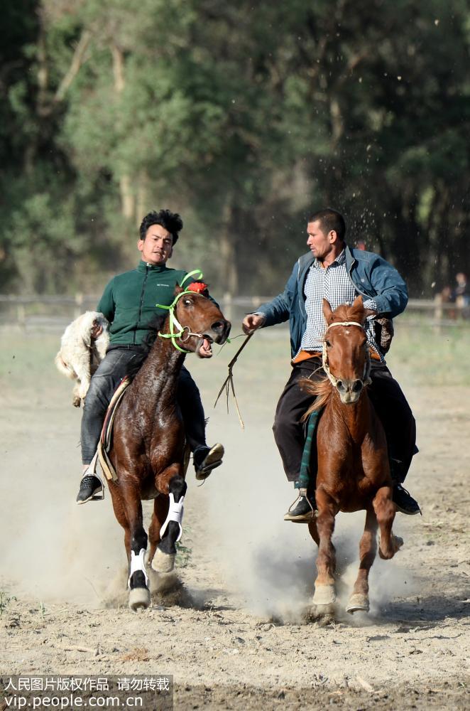 新疆阿瓦提：農牧民叼羊比賽慶“五一”【3】