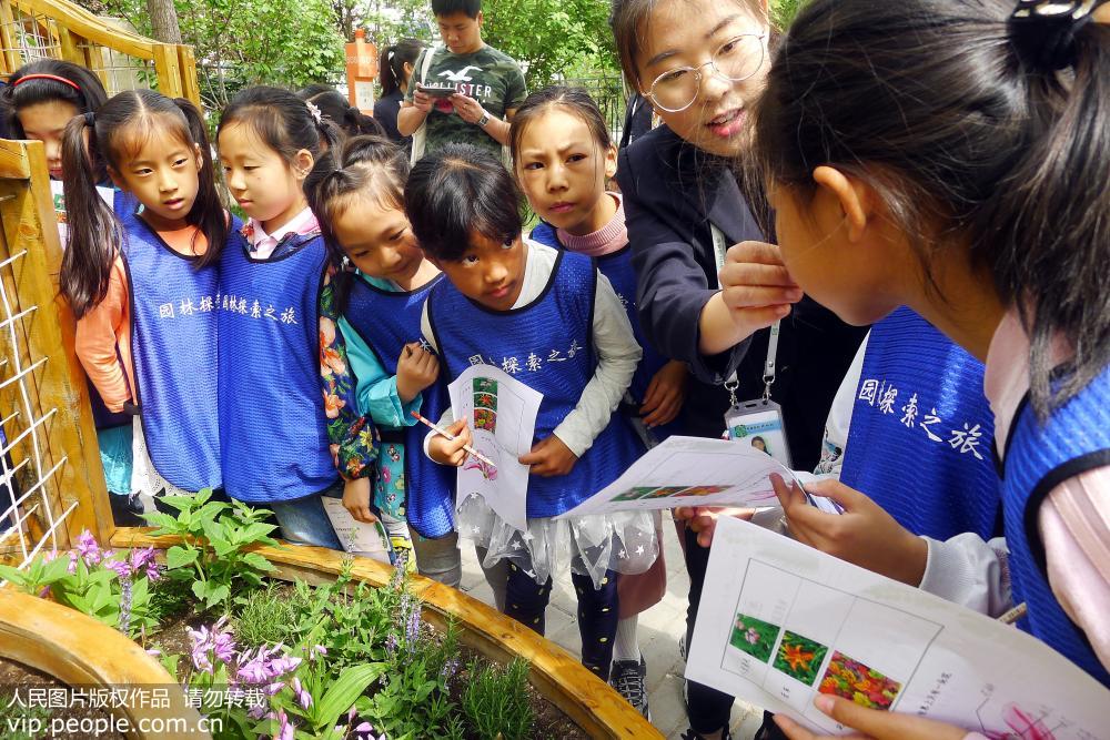 2019年5月3日，北京中國園林博物館開展“春夏造園季 尋找春天裡的秘密”主題文化及自然筆記科普系列活動。