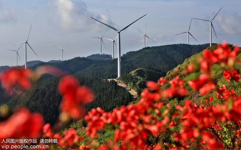 �������᣺��̬�������������ˡ�4��