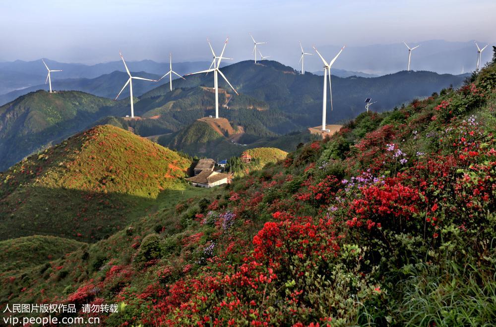江西永豐：生態風電助力鄉村振興