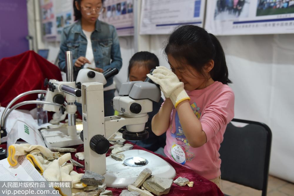 北京：親子互動 體驗化石發掘樂趣【5】