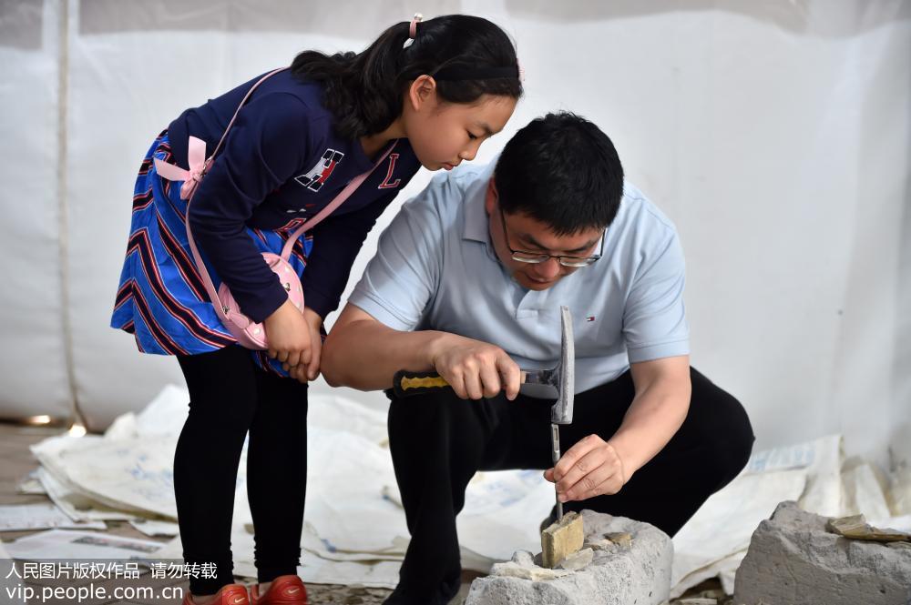 北京：親子互動 體驗化石發掘樂趣【3】