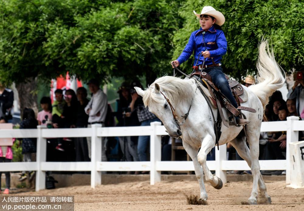 �����ڱ����м�Ԧ�Լ�����ƥ����չʾ��