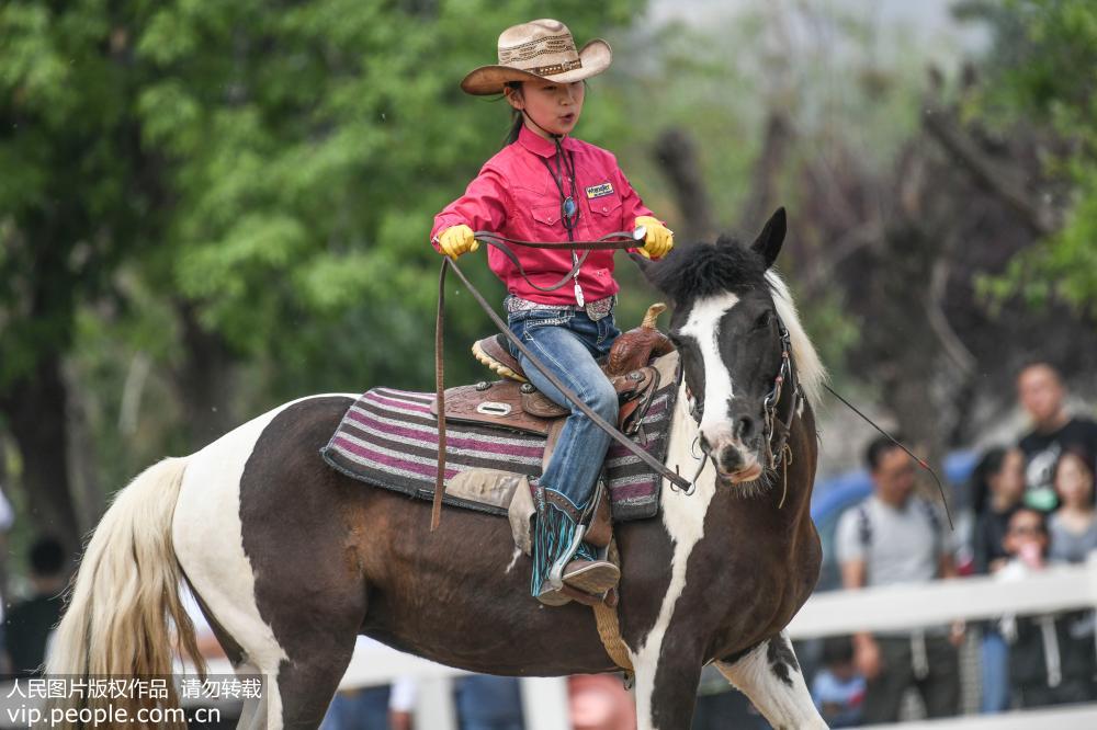 �����ڱ����м�Ԧ�Լ�����ƥ����չʾ��