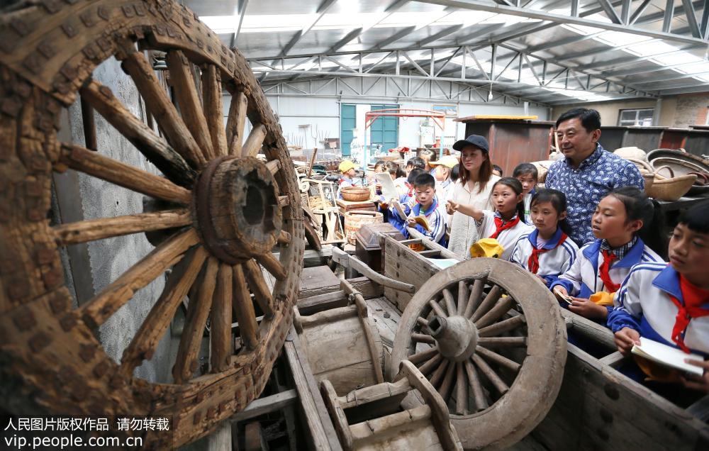 5月5日，山東青島市即墨區龍泉中心小學的學生在觀賞孫先勇收藏的傳統生產農具。