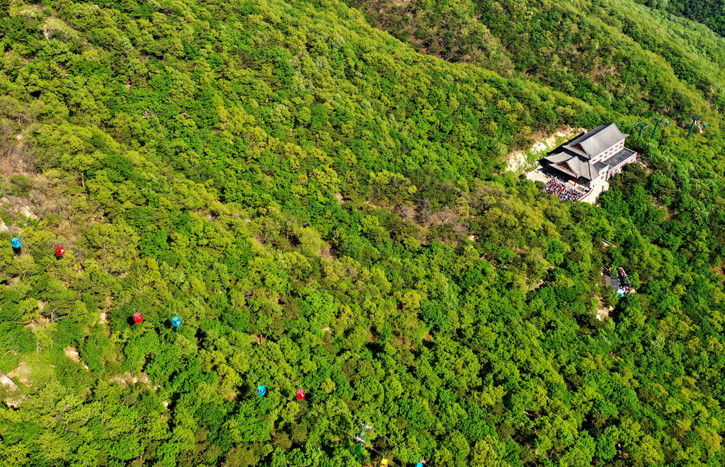 一處建筑坐落在盤山風景名勝區的森林中（5月2日無人機拍攝）。新華社記者 岳月偉 攝