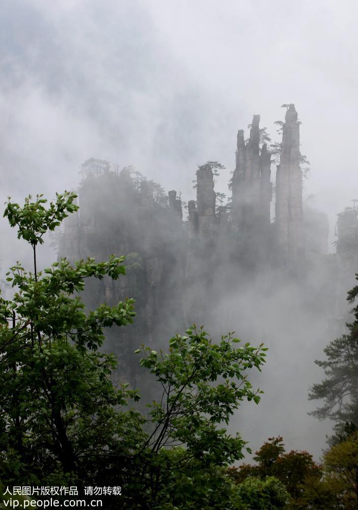 ���ϣ����������żҽ硾3��