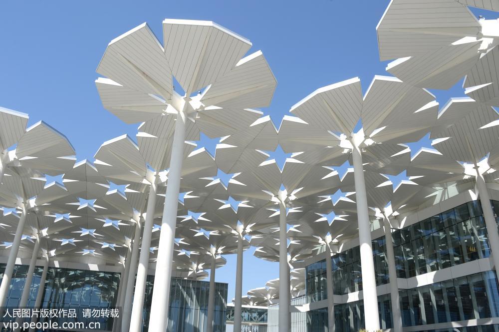 北京世園會：94朵“花傘”可光伏發電雨水收集【2】