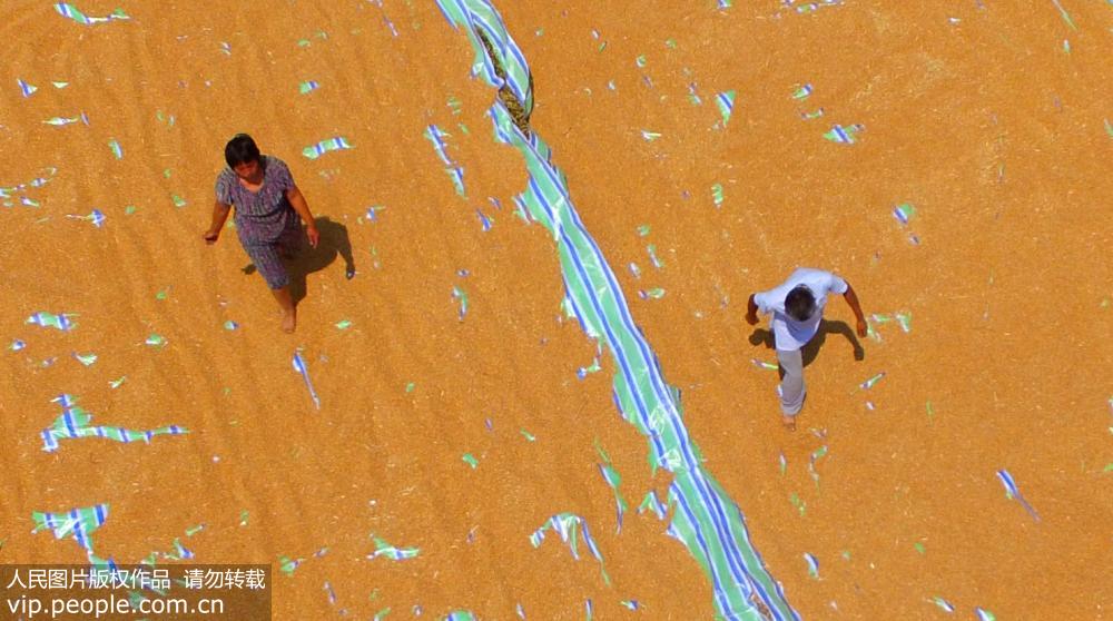 ���ϻ�������������æ���ġ�8��