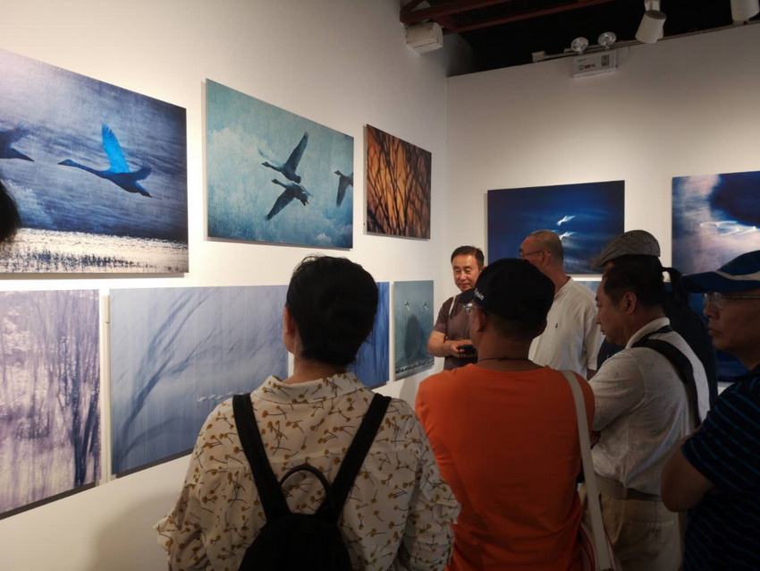 攝影人深入探討“藍色 旅途”王智天鵝生態系列影展作品。人民網 單芳/攝