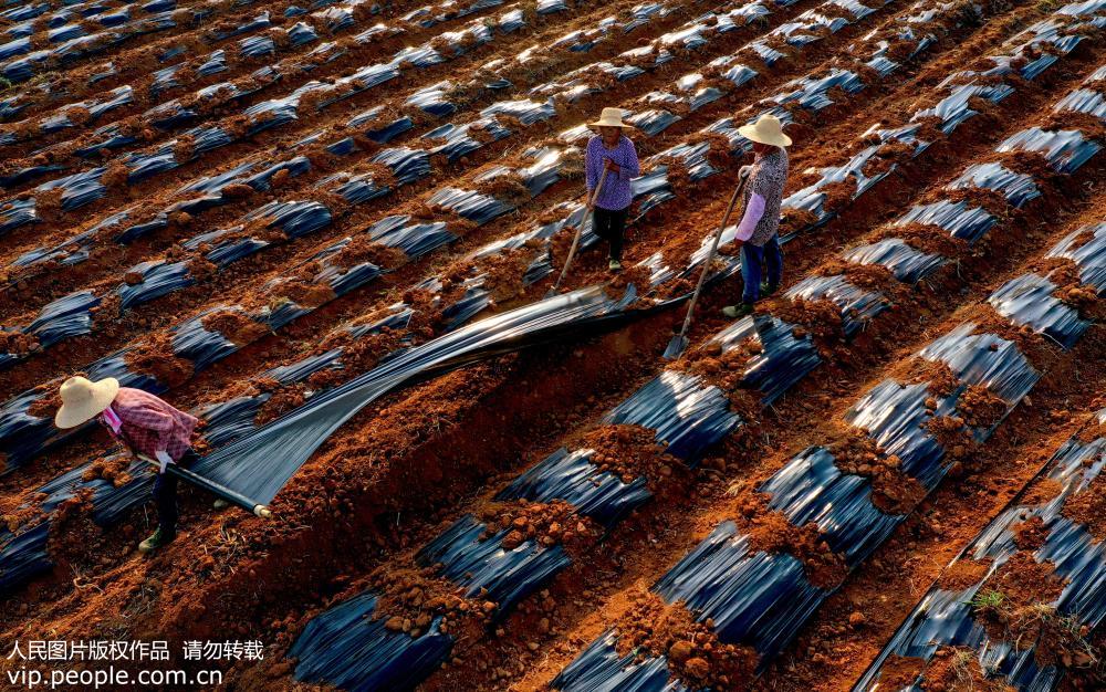 ����®��������ʱ���־�æ �ջ����ø����ڡ�2��