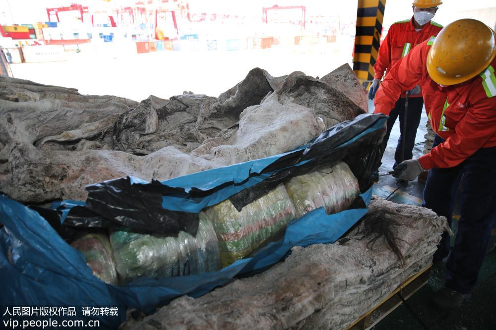 5月20日，在青島海關查驗作業現場，夾藏有海馬干的馬皮被拖出集裝箱。
