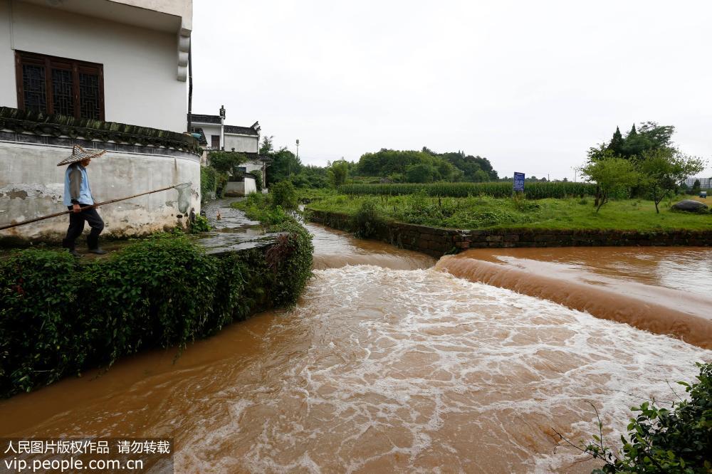 6月19日，暴雨過后，千年古村唐模水位上漲。