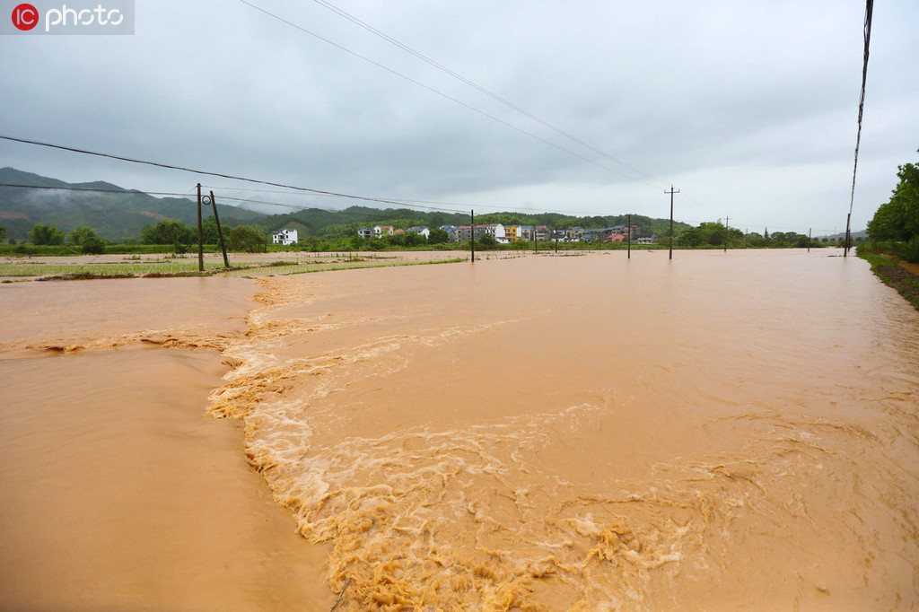 6月22日，江西省吉安市峽江縣桐林鄉廟口村農田被淹。