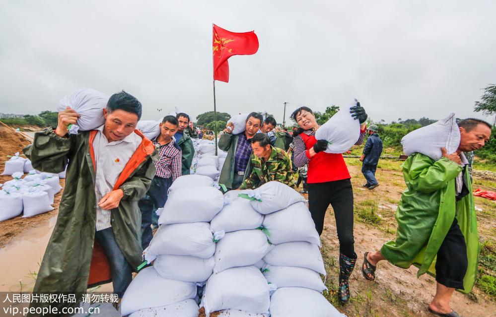 6月24日，江西廣昌縣甘竹鎮大嵊村下車河堤搶險救災現場，近200名黨員干部群眾正在裝運沙袋、搶修河堤。
