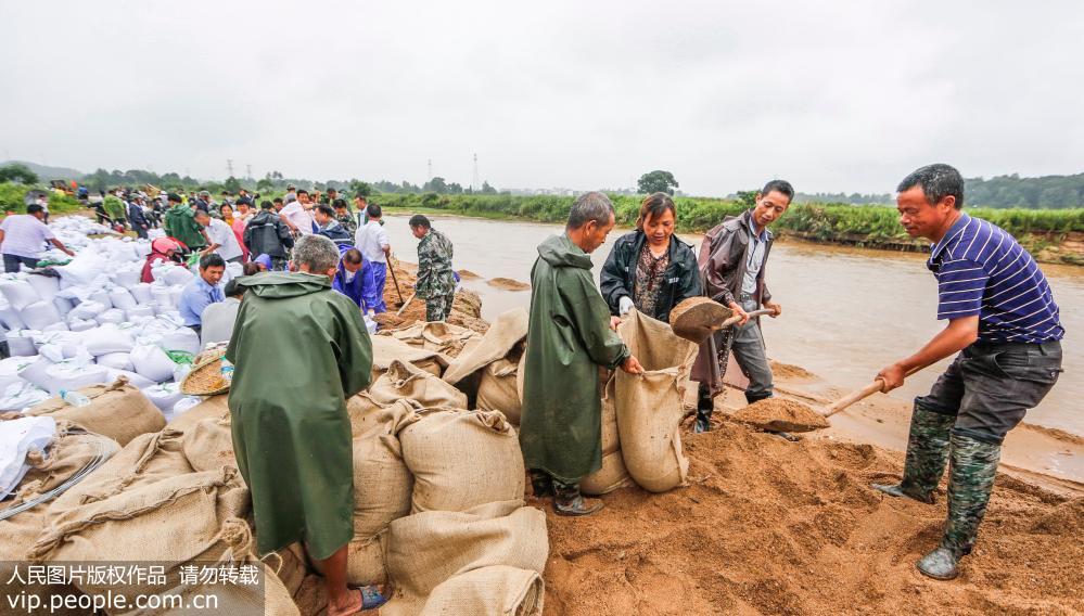 6月24日，江西廣昌縣甘竹鎮大嵊村下車河堤搶險救災現場，近200名黨員干部群眾正在裝運沙袋、搶修河堤。