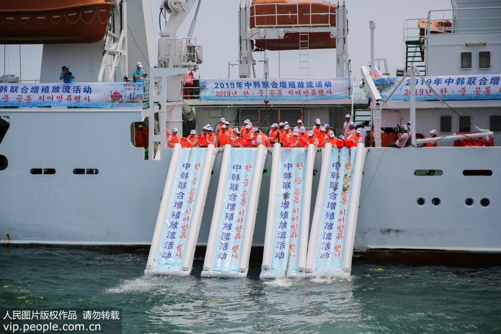 6月26日，中韓漁業資源聯合增殖放流活動在山東青島舉行。