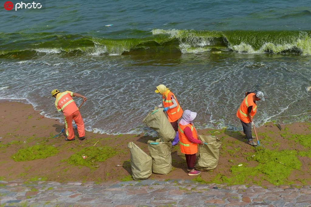 2019年6月26日，環衛工人在山東青島一處近岸海灘進行清理作業。