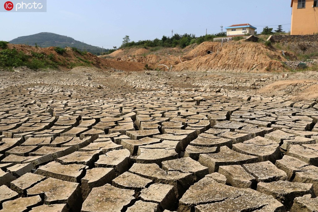 6月27日，在山東省蓬萊市拍攝的平山水庫干涸已經龜裂。